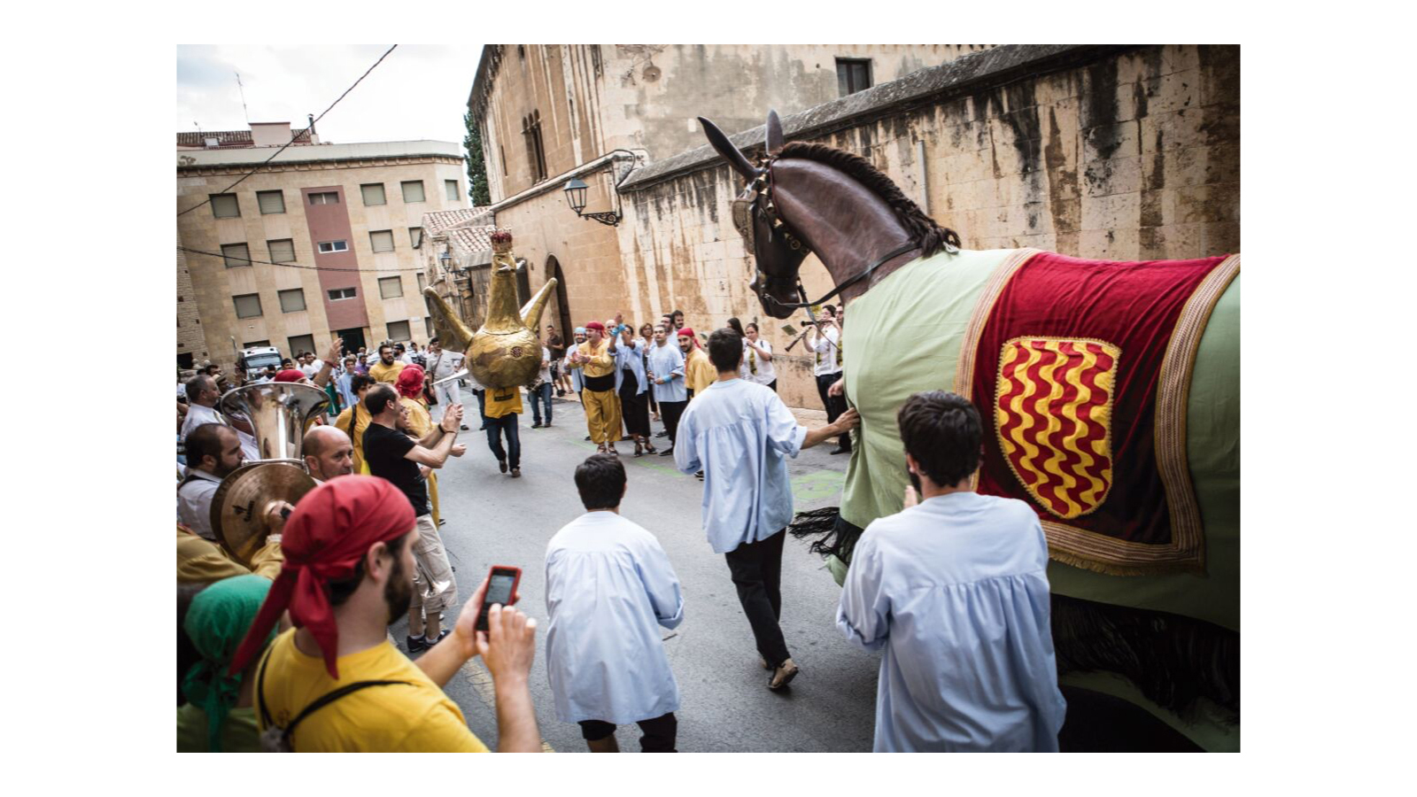 Associació Mulassa de Tarragona